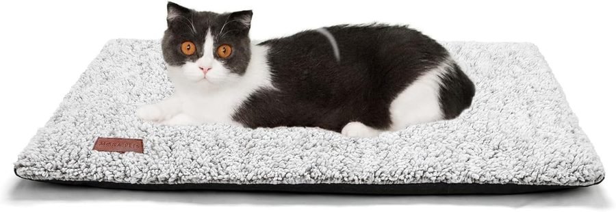 Cat Beds